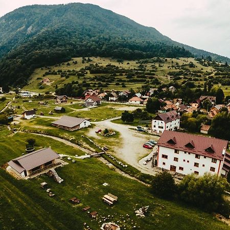 Pensiunea 3 Brazi Зэрнешти Экстерьер фото