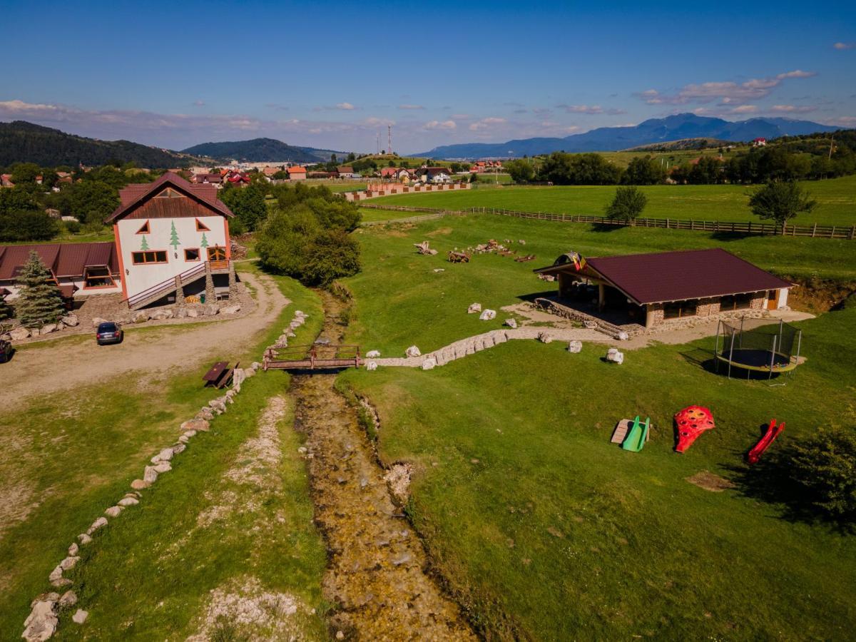 Pensiunea 3 Brazi Зэрнешти Экстерьер фото