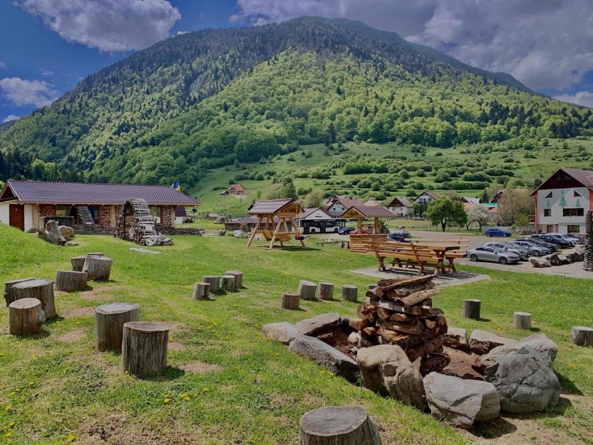 Pensiunea 3 Brazi Зэрнешти Экстерьер фото