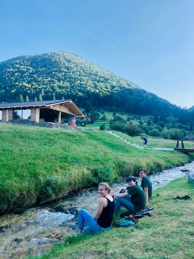 Pensiunea 3 Brazi Зэрнешти Экстерьер фото